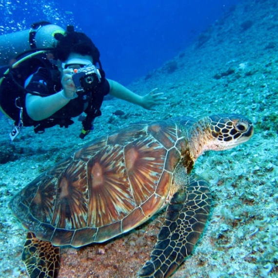 5-razloga-da-ove-godine-posetite-zanzibar