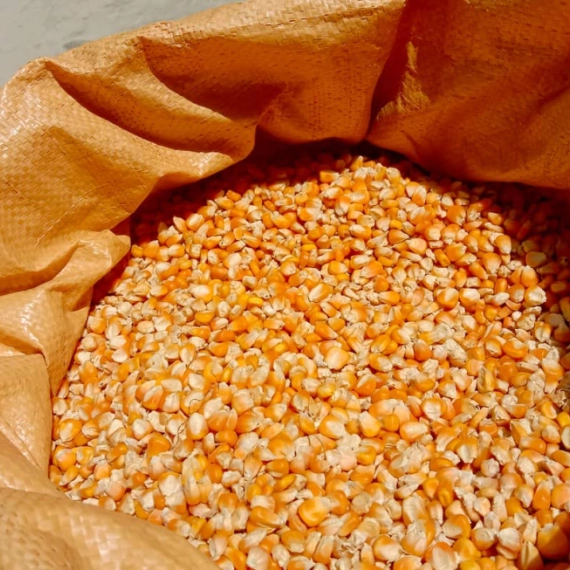 najbolji-nacin-za-skladistenje-kukuruza
