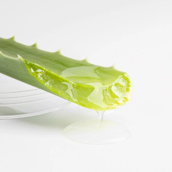 aloe-vera-mocni-saveznik-vaseg-zdravlja-i-lepote